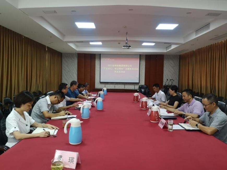 集團(tuán)公司召開“不忘初心、牢記使命”主題教育活動民主生活會