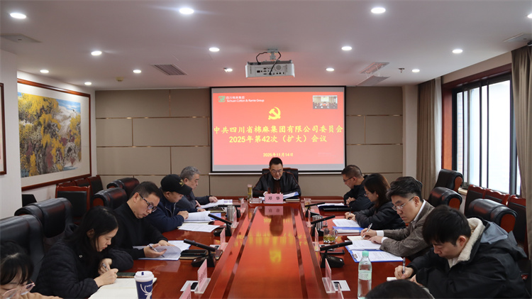 集團(tuán)公司召開2025年第42次黨委（擴(kuò)大）會議
